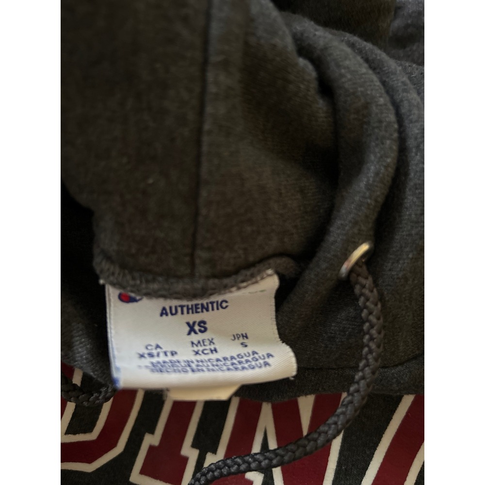 Champion Aquinas College Grand Rapids MI hoodie gray‎ with front hit sz XS - Picture 5 of 5